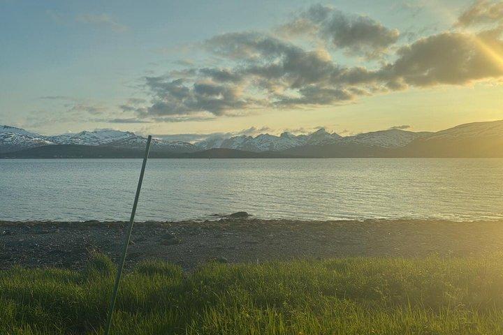 北極フィヨルドと海岸風景ロードトリップ