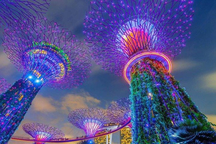 8 - Std Combo : Food Tour, 40 - Min Cruise & 2 Must-visit Light Shows