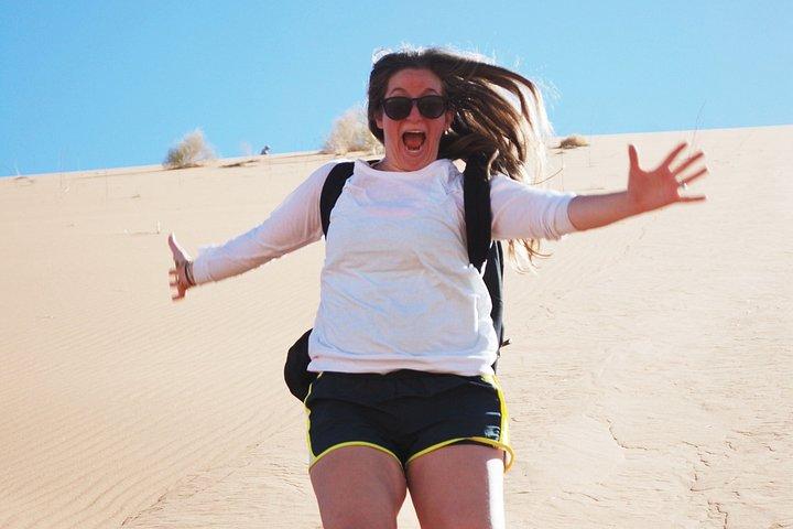 スワコプムントからの3日間Sossusvlei Express収容サファリ