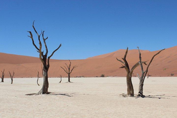 スワコプムントからの3日間Sossusvlei Express収容サファリ