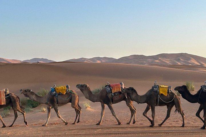 5-dages Marrakech til Merzouga ørken tur