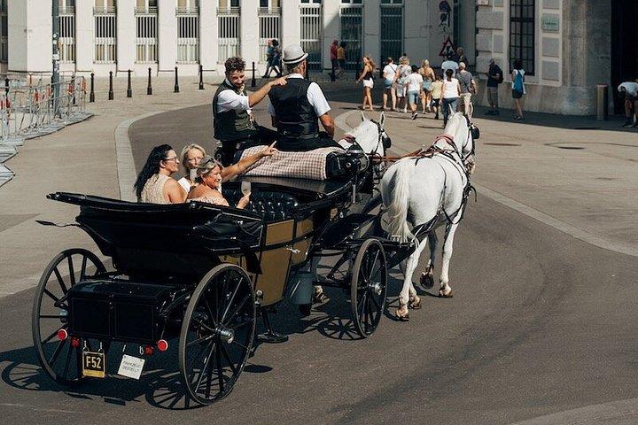Sightseeingtur med hestevogn i Wien med snacks