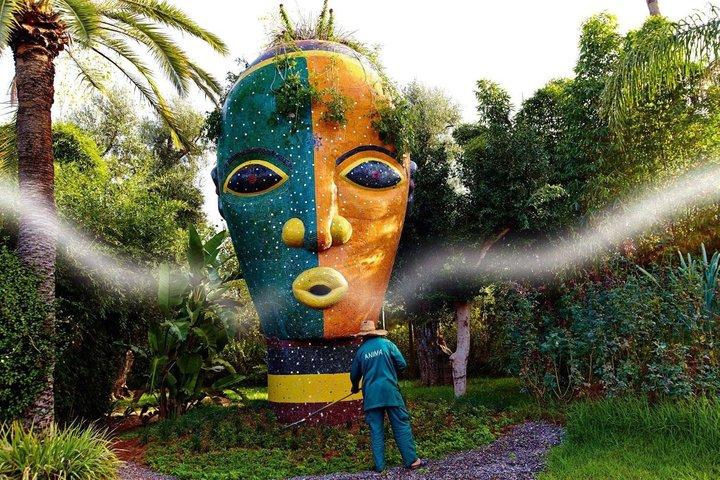 Valle di Ourika da Marrakech : Giardino ANIMA, Cascate e Atlante