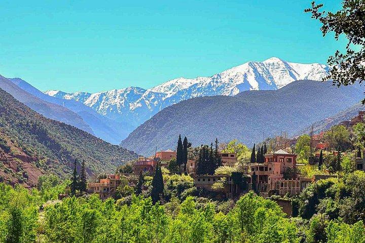 Ourika Valley & ANIMA Garden Day Trip | Shared or Private