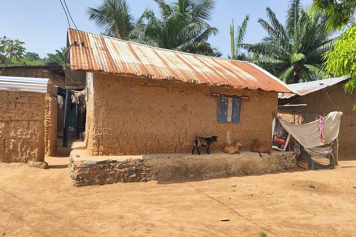 2 days Volta Monkey Sanctuary & Kente weaving experience