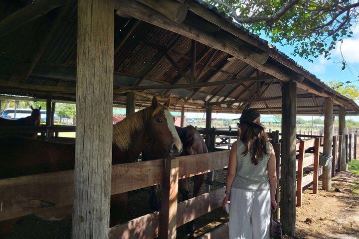Gaucho-tur ved Estancia Santa Susana fra Buenos Aires