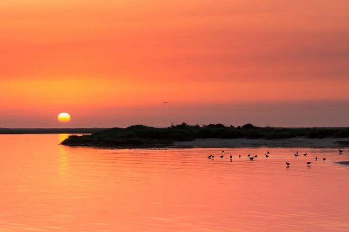 サンセットツアー | Ria Formosa - ファロから