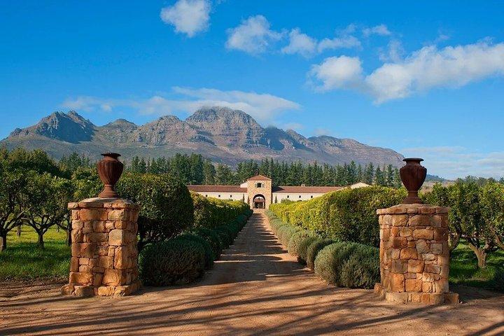 Full-Day VIP Stellenbosch Wine Tour with Waterford Delaire Graff