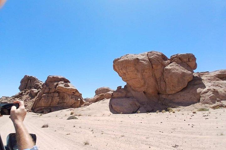 Moon Landscape and Welwitschia Guided Tour