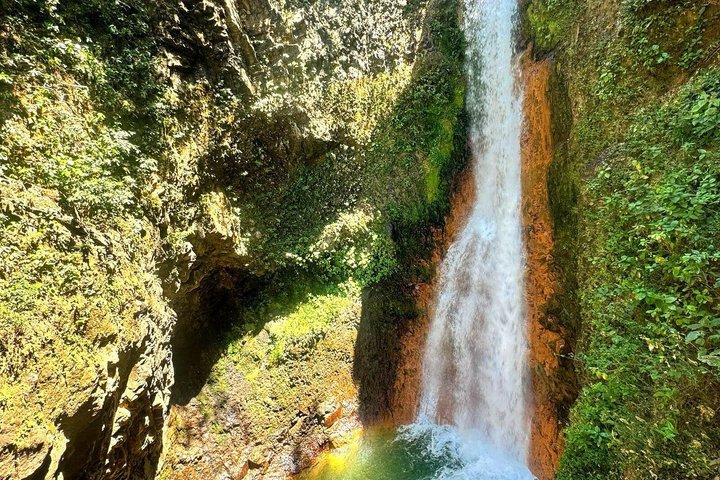 ナマケモノ観察、ミラバジェス火山、温泉、隠れた滝