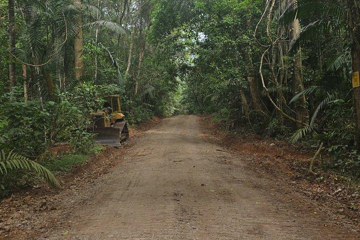 Hiking Pipeline Road