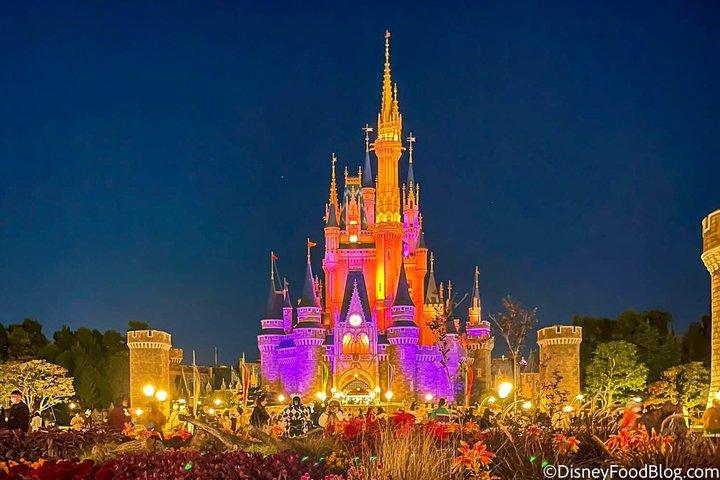 Bilhete para Tokyo Disneyland com opções