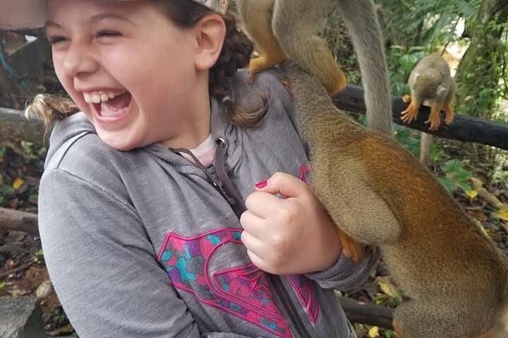 Damajagua 7 waterfalls and monkeys obeservations private van
