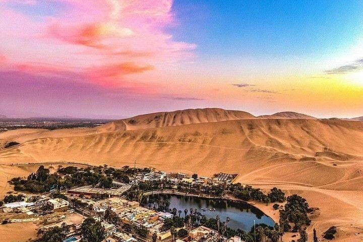 バジェスタス諸島とワカチナ・オアシスへのリマ発バギー日帰り旅行(バギー利用)