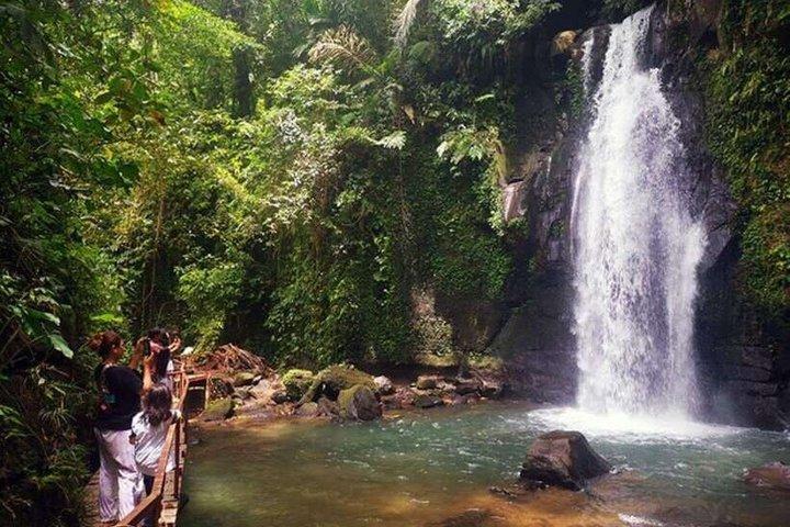 Udforsk Ubud Bali i privat tilpasset tur
