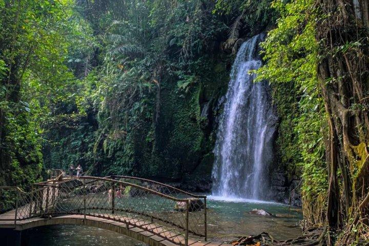 Udforsk Ubud Bali i privat tilpasset tur