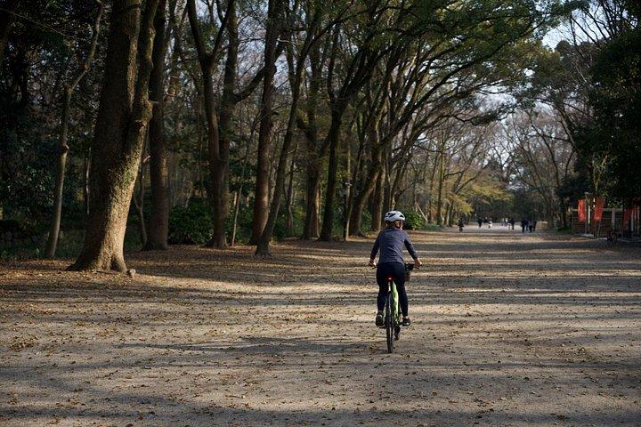 京都プライベートフォトバイクツアー
