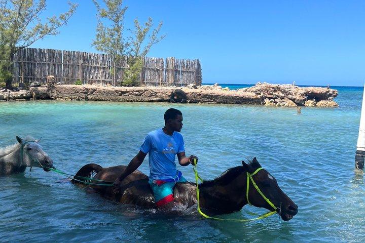 ATV & Horseback Ride Guided Tour i Jamaica