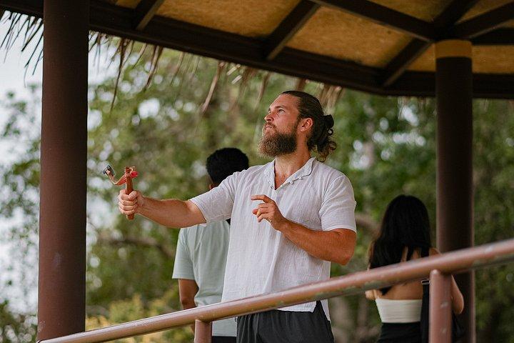 Samui : Elefantendschungel erleben & Das erste Elefantenmuseum