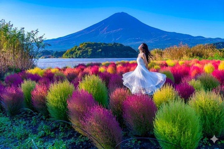 Excursion privée d'une journée au Mont Fuji