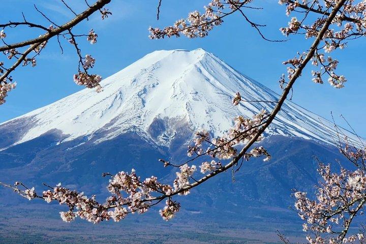 英語ドライバー付き富士山プライベートツアー