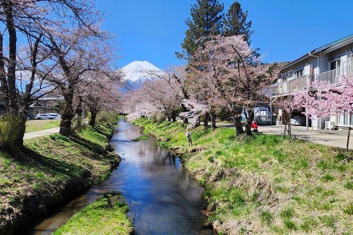 英語ドライバー付き富士山プライベートツアー
