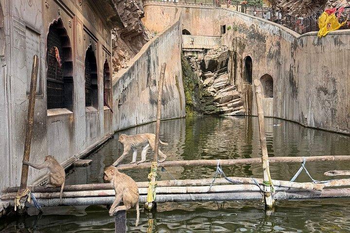 プライベートジャイプール寺院ツアー-スピリチュアルヒンドゥー体験
