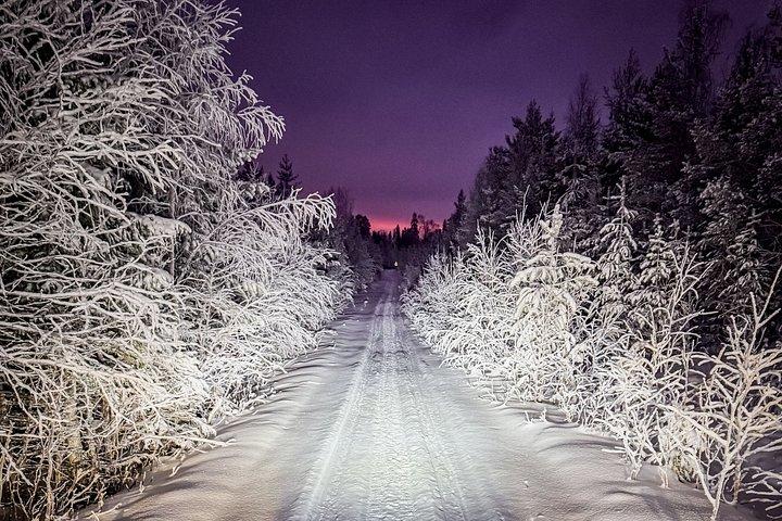 Evening Adventure with Snowmobile and Snacks