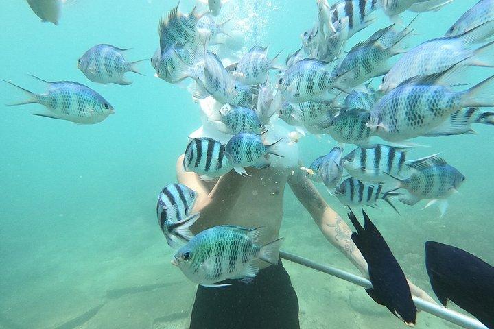 チャム島ウォーキング水中ツアーとシュノーケリング