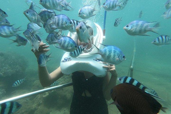 チャム島ウォーキング水中ツアーとシュノーケリング