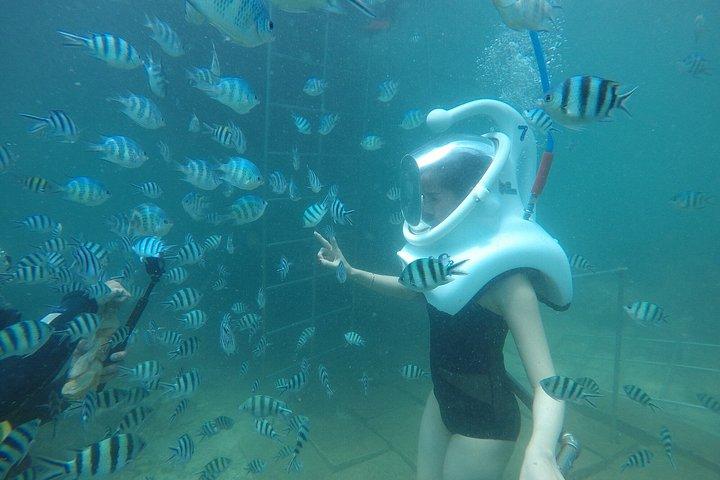 チャム島ウォーキング水中ツアーとシュノーケリング