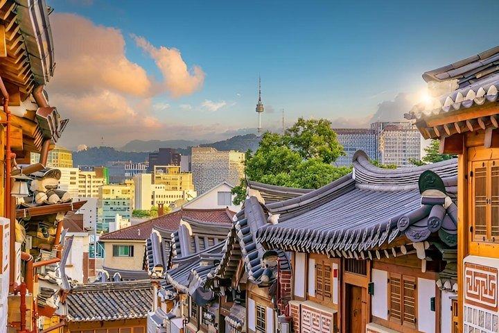 Full Day Customizable and Private Guided Tour in Seoul