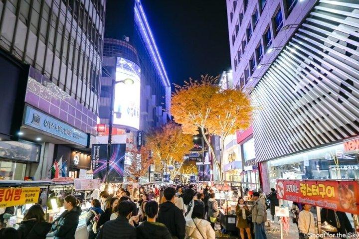 Full Day Customizable and Private Guided Tour in Seoul