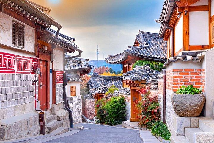 Full Day Customizable and Private Guided Tour in Seoul
