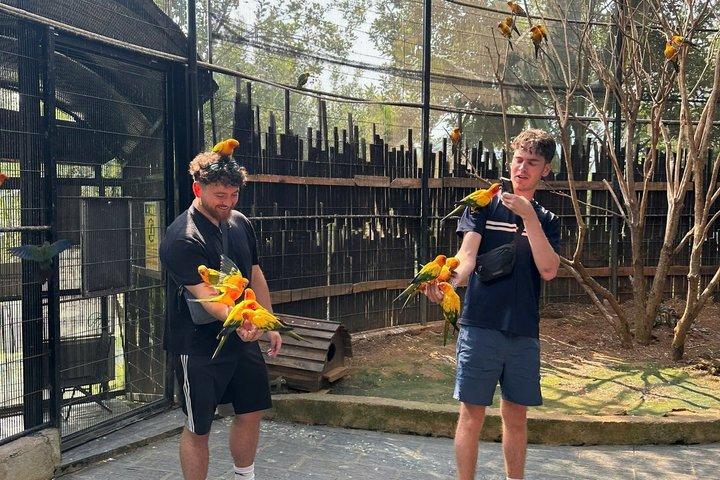 Dalat Morning Trip: Alpine Coaster, Arco-íris e Luge Kart