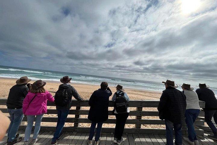 メルボルン発少人数グループ フィリップ島午後の日帰り旅行