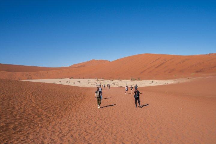 ウィントフックの6日間の砂丘と野生生物に対応したサファリ
