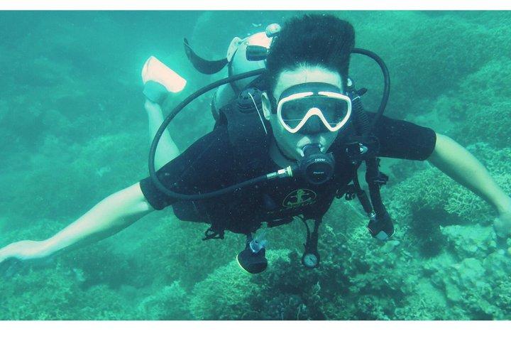 Nha Trang Scuba Diving Tour Parque Marinho