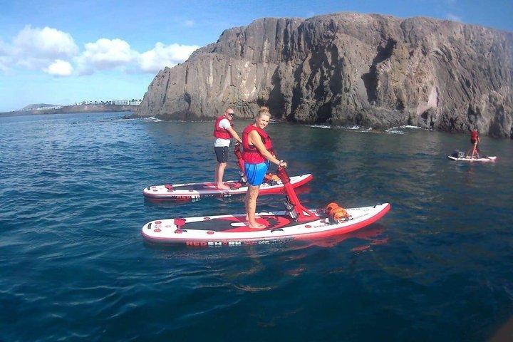 Passeios guiados de stand-up paddle elétrico em Lanzarote