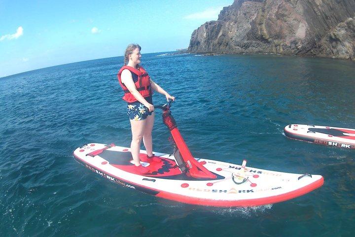 Passeios guiados de stand-up paddle elétrico em Lanzarote
