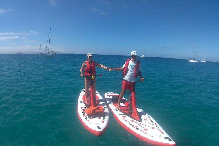 Passeios guiados de stand-up paddle elétrico em Lanzarote