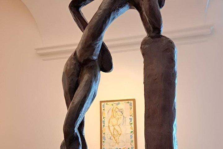 Tour di 4 musei d'arte a Nizza Matisse Chagall Belle Arti Massena
