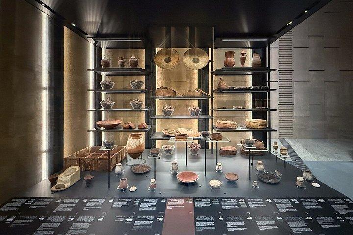 Grand Egyptian Museum Private Guided Tour with Lunch & Tickets