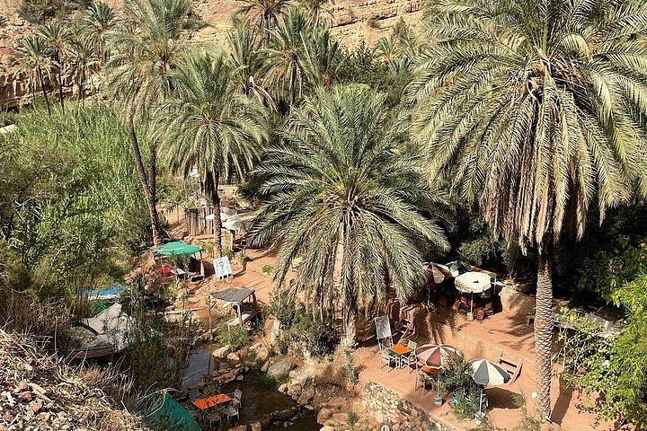 Paradise valley agadir half day tour