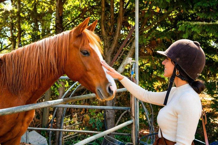 Excursão a cavalo de Chianti Hills da Toscana