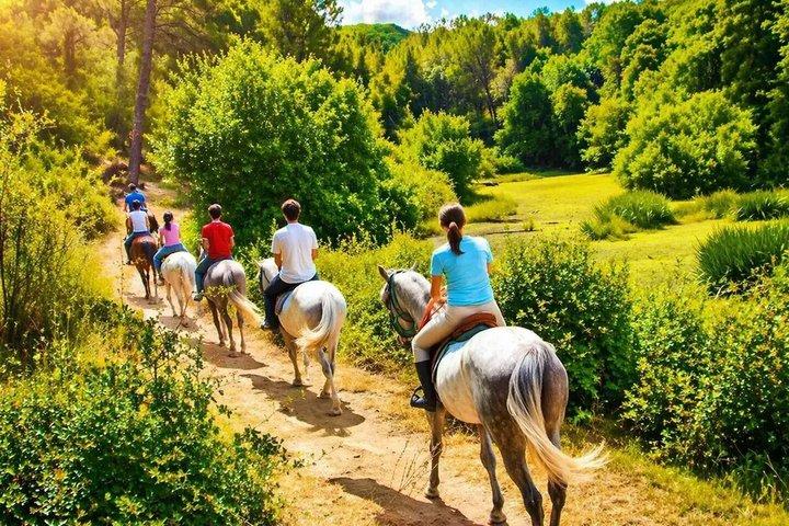 Excursion à cheval dans les collines du Chianti en Toscane