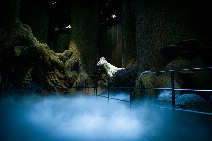 Harry Potter Warner Bros. Entradas de estudio desde Londres