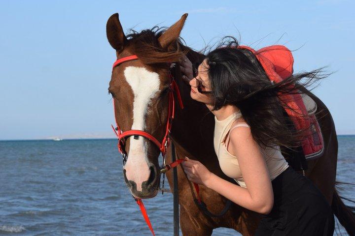 Hurghada Hest tilbage ridning med transfer
