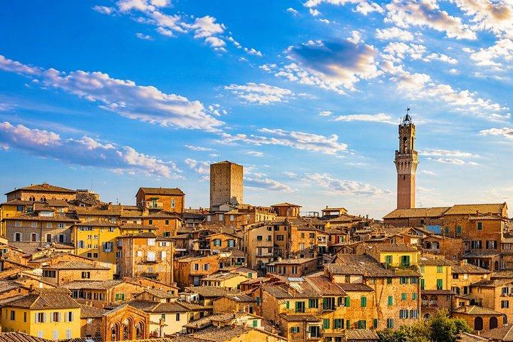 Visite du Vin Signature Brunello di Montalcino au départ de Sienne