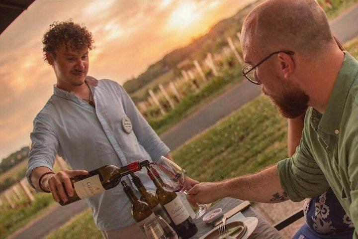 Bordeaux Wine Trails : Saint-Emilion Abendliche Weintour